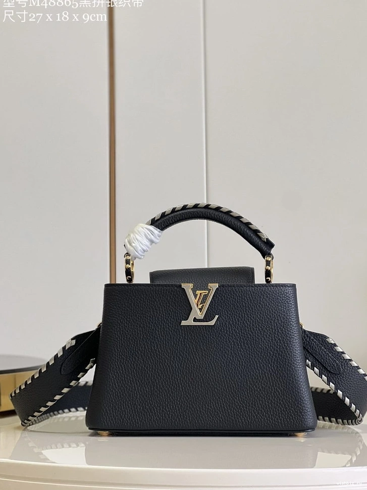 WIS VUITTON CAPUCINES BB LOUIS 1014